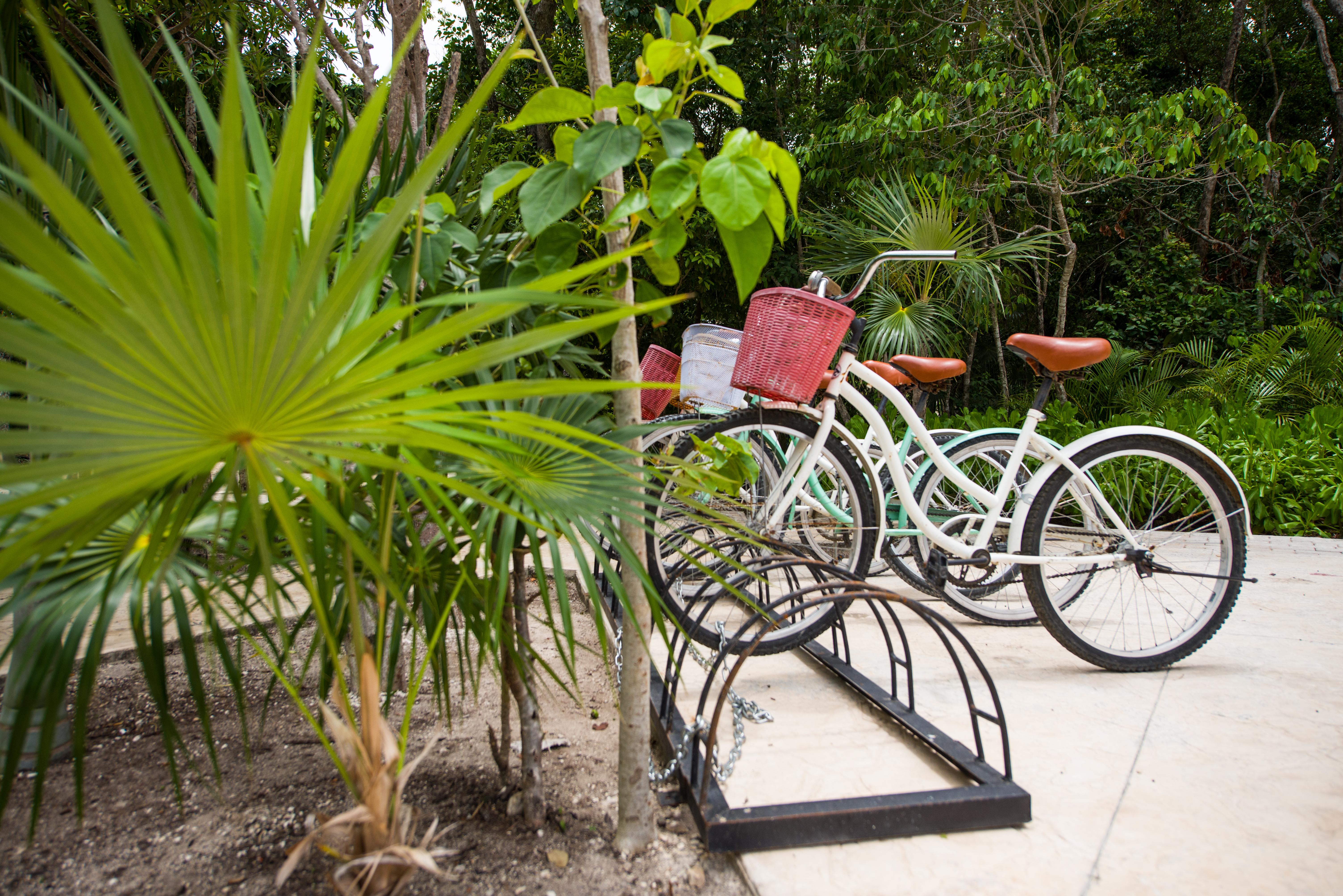 Naay Tulum Curamoria Collection Exteriör bild